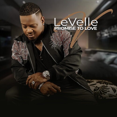 LeVelle - Promise To Love vinyl record cover