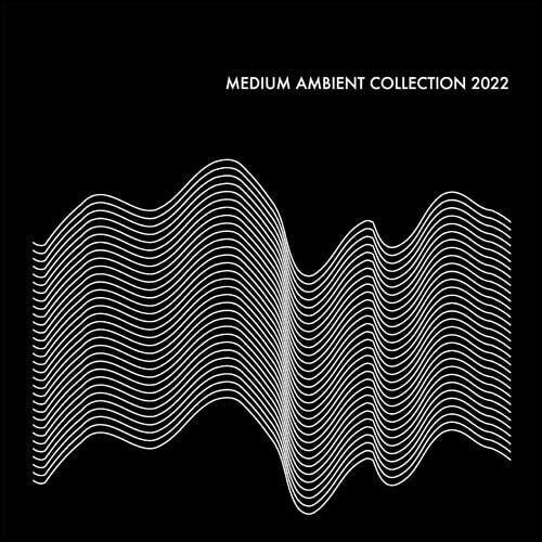 Medium Ambient Collection 2022 Black /  Various