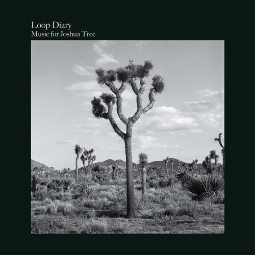 Music For Joshua Tree