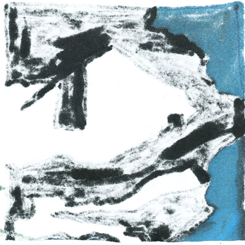 Accessory - Dust vinyl record cover