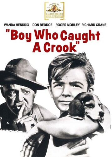 Boy Who Caught a Crook