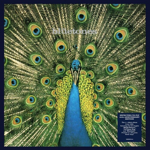 Expecting To Fly: 25th Anniversary [Gatefold 180-Gram Black Vinyl] [Import]