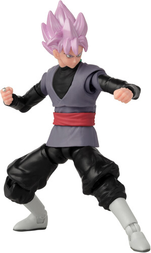 DRAGON BALL SUPER EVOLVE GOKU BLACK SUPER SAIYAN R
