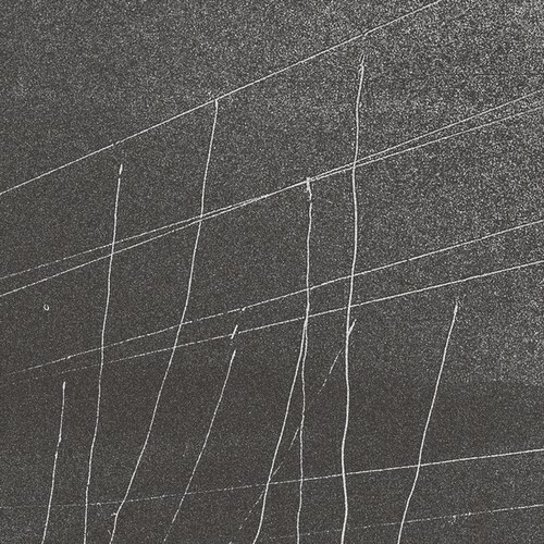 Archival Recordings: Primal Image/Beauty