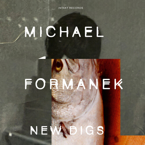 Michael Formanek - New Digs vinyl record cover