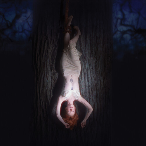 Maddie Medley - Fawn's Enemy vinyl record cover