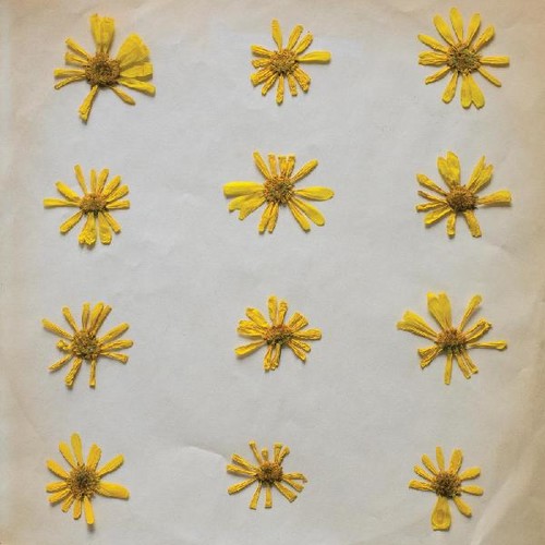 Molochs - Flowers In The Spring [Download Included]