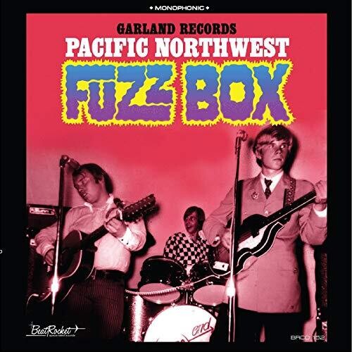 Garland Records - Pacific Northwest Fuzz Box (Blue) [Colored Vinyl]