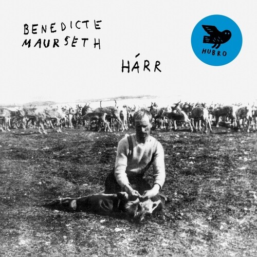Benedicte Maurseth - Harr