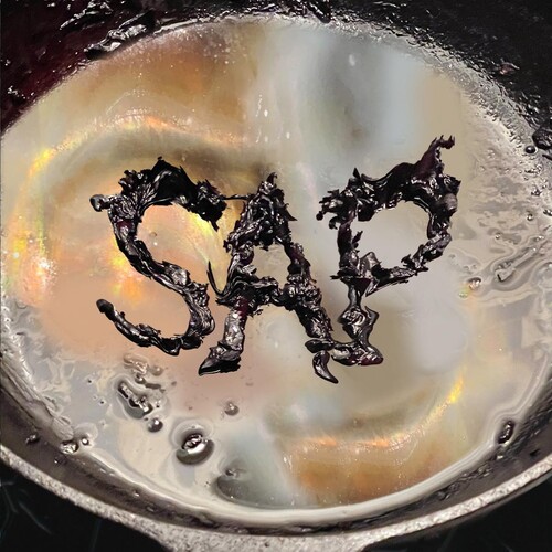 Okay Kaya - Sap vinyl record cover
