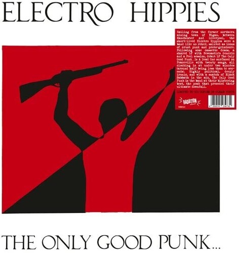 Electro Hippies - Only Good Punk Is A Dead One