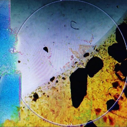 Living In Memory Of Something Sweet