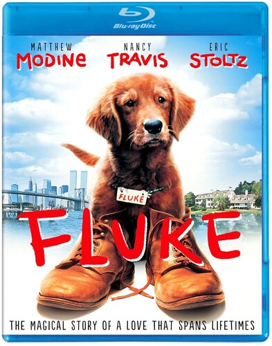 Fluke