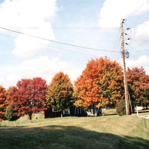 Things Are Gonna Be Alright (Extended Edition) - Red