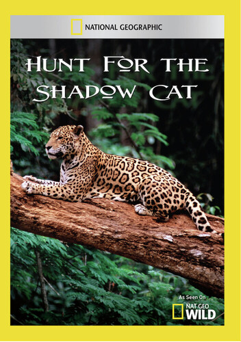 Hunt for the Shadow Cat