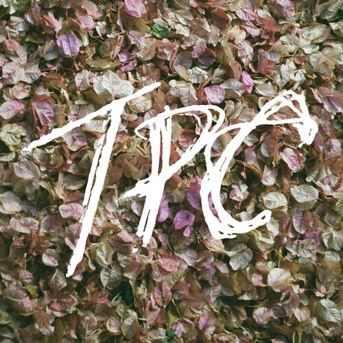 Tokyo Police Club - Tpc vinyl record cover