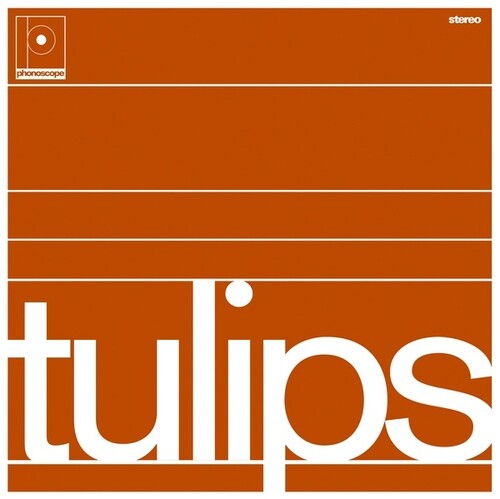 Maston - Tulips [Limited Edition]