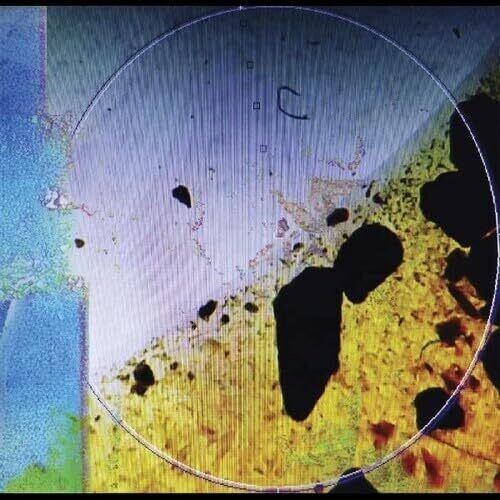 Living in Memory of Something Sweet