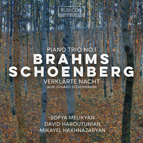 Brahms: Piano Trio No.1; Schoenberg: Verklarte Nacht