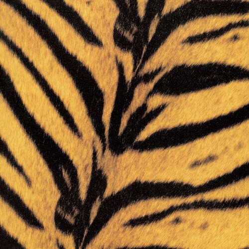 High-Lows - Tigermobile (Jpn)