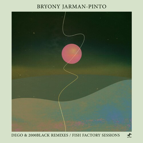 Dego & 2000black Remixes /  Fish Factory Sessions