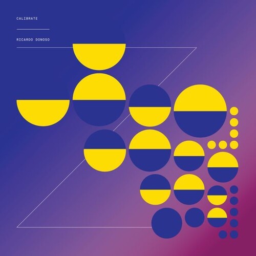 Ricardo Donoso - Calibrate vinyl record cover
