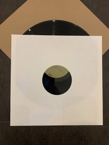 Vinyl Styl 12 LP Inner Slv Square Crnrs 50 Cnt Wh - Vinyl Styl 12 Lp Inner Slv Square Crnrs 50 Cnt Wh