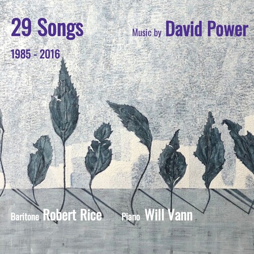 Robert Rice  / Vann,William - 29 Songs: Music By David Power 1985-2016 (Uk)