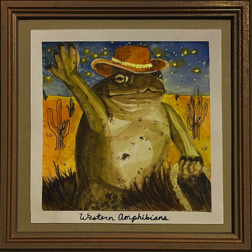 Anita Velveeta - Western Amphibians [Colored Vinyl] [Clear Vinyl] (Grn) [Limited Edition]