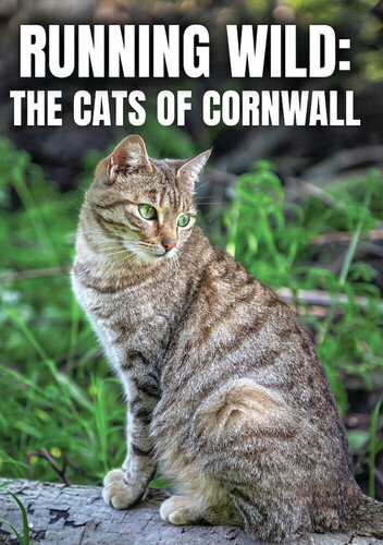 Running Wild: The Cats Of Cornwall