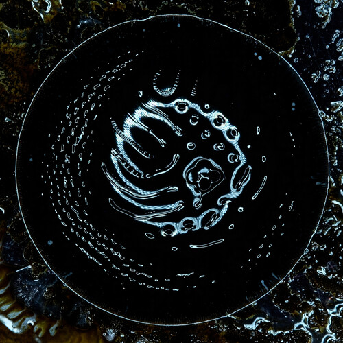 Stonus