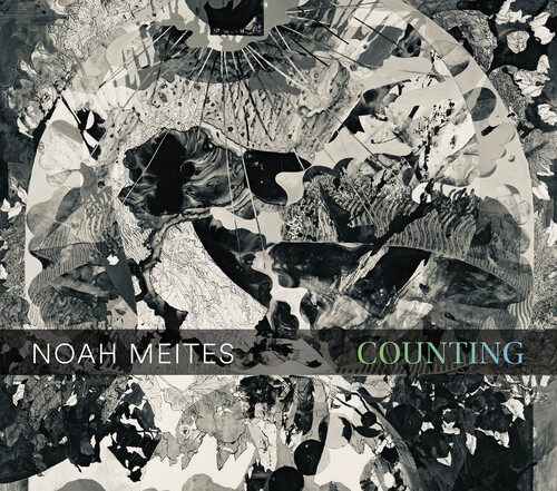 Noah Meites: Counting