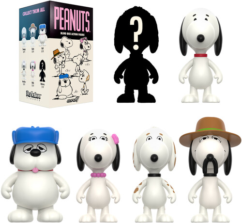 PEANUTS WAVE 10 (SNOOPY'S SIBLINGS) - 12PC BLIND B