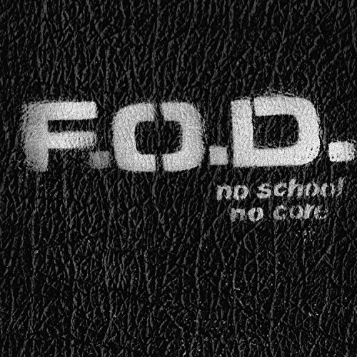 Flag Of Democracy - No School No Core vinyl record cover