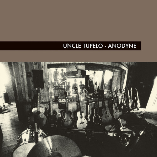 Anodyne