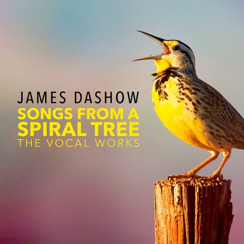 Dashow - Songs from a Spiral Tree