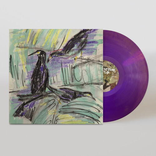Still Life - Purple