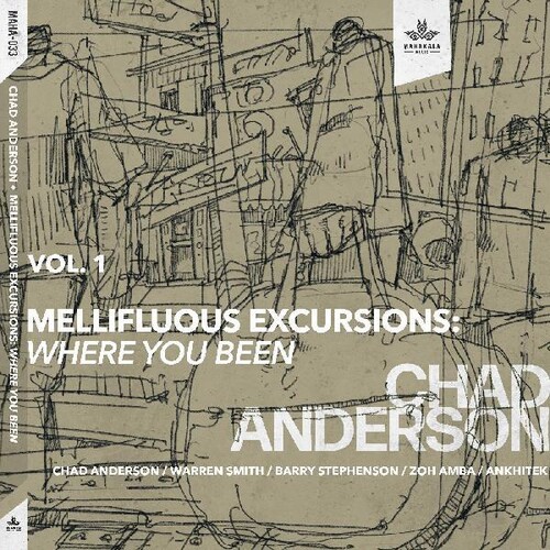Chad Anderson - Mellifluous Excursions 1- Where You Been