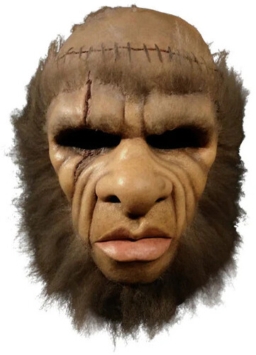 FRANKENSTEIN AND THE MONSTER FROM HELL MASK