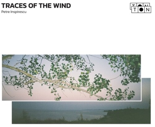 Traces Of The Wind