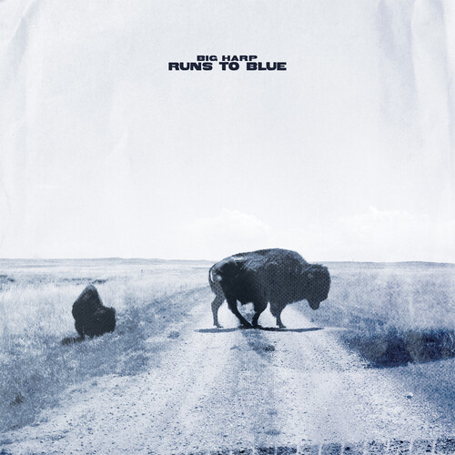 Big Harp - Runs To Blue vinyl record cover