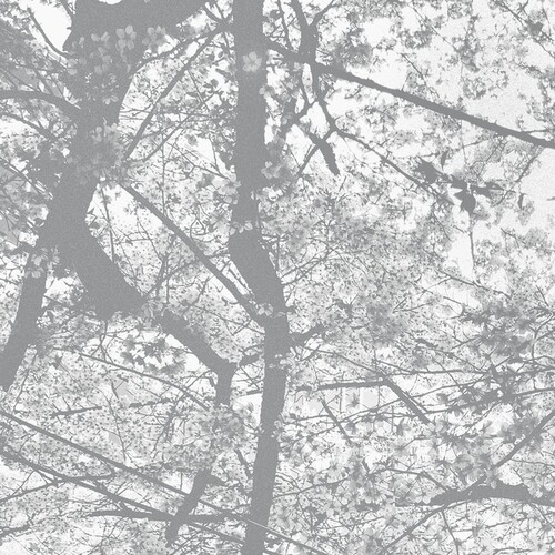 OBLITERATION BLISS