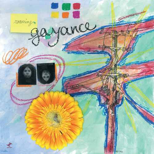 Gayance - Roaming vinyl record cover