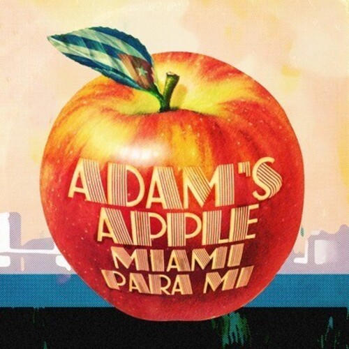MIAMI PARA MI