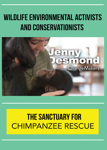 Changemakers Jenny Desmond - ChangeMakers Jenny Desmond: The Sanctuary for Chimpanzee Rescue