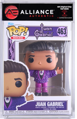 JUAN GABRIEL PURPLE