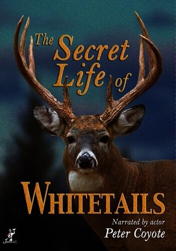 The Secret Life of Whitetails