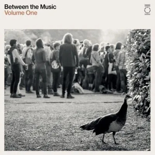 End Of The Road Presents: Between The Music / Various - White Colored Vinyl