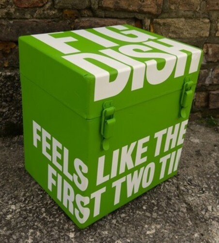 Fig Dish - Feels Like The Very First Two Times vinyl record cover