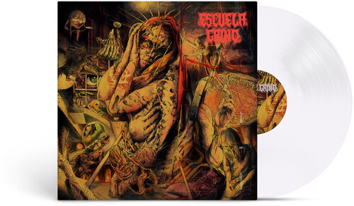 Dreams On Algorithms